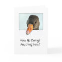 How Ya Doing? Anything New? cards