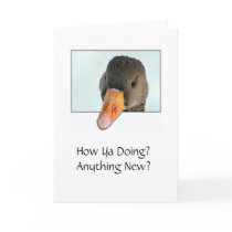 How Ya Doing? Anything New? cards