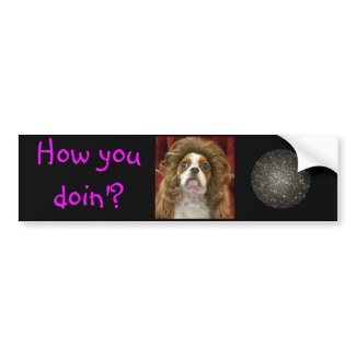 How you doin' ? bumper sticker