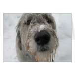 How YOU Doin? Greeting Cards