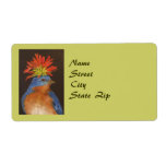 Howard the bluebird address label