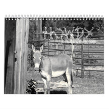 HOWDY CALENDARS