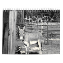 HOWDY calendars