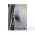 Howdy Horse Greeting Card