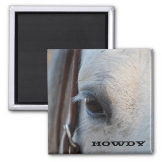 Howdy Horse Magnet magnet