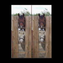 Howdy-Howdy Horse Bookmarkers postcards