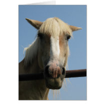 Howdy Partner! cards