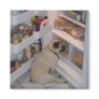 Howie Pee Pugpants Refrigerator Magnets