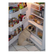 Howie Pee Pugpants Postcard