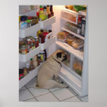 Howie Pee Pugpants Raids the Fridge Poster