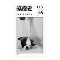 Howie takes a Bath postage