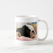 Howie takes a nap Mug by aukevinsgirl Howie takes a nap Mug