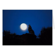 Howl At Full Moon cards