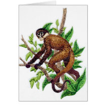 Howler Monkey cards by Monkey_Business Howler Monkey cards