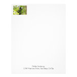 Howler Monkey in the Jungle Photo Customized Letterhead