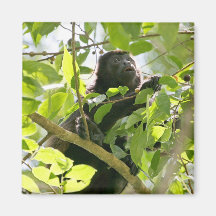 Howler Monkey in the Jungle Photo Magnets