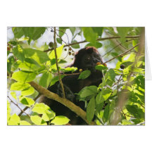 Howler Monkey Picture Card