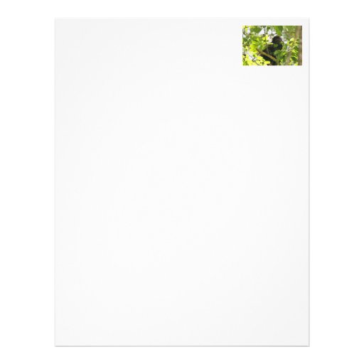 Howler Monkey Picture Customized Letterhead
