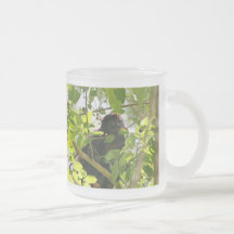 Howler Monkey Picture Mugs