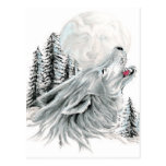 Howling at the Face in the Moon Postcards