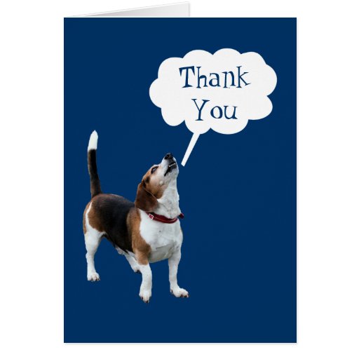 View Thank You Gif Cute Dog Images