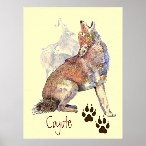 Howling Coyote Poster