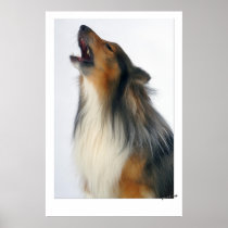 Howling dog posters