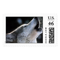 howling stamp