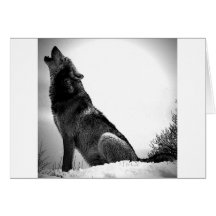 Howling Wolf in Snow Greeting Card
