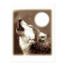 Howling Wolf Post Card