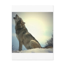 Howling Wolf Post Card