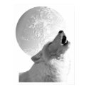 Howling Wolf Poster posters by tempsdesigns Howling Wolf Poster posters