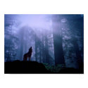 Howling Wolf posters by beverlytazangel Howling Wolf posters