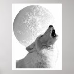 Howling Wolf Poster