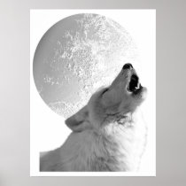 Howling Wolf Poster