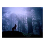 Howling Wolf Poster