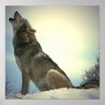 Howling Wolf Poster Print
