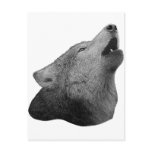 Howling Wolf - Stylized Image Post Cards