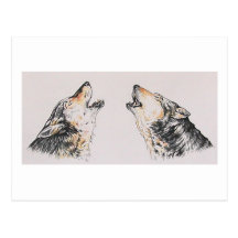 Howling Wolves Post Card
