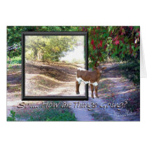 How's it goin-Customize cards by MakaraPhotos How's it goin-Customize cards