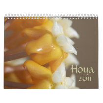 Hoya 2011 wall calendar