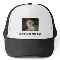 HPIM0172, BEWARE OF THE DOG HAT