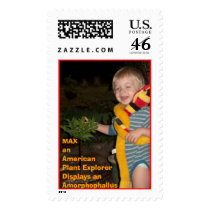 HPIM0623, MAXan American Plant ExplorerDisplays... postage
