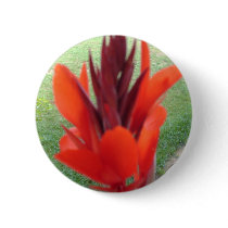HPIM0715 buttons