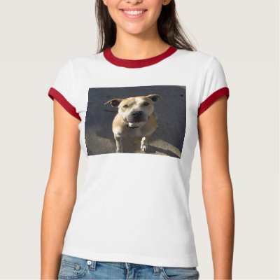 HPIM0889, Help a Pit Bull Neuter Michael Vick T Shirt by sagnellae