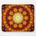 HPIM1255 mousepads