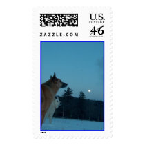 HPIM1609, HPIM1609 postage