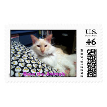 HPIM2297, Save the Animals postage by garnetfairy HPIM2297, Save the Animals postage