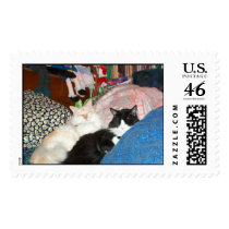 HPIM2712 Kinky and Dusty postage
