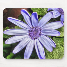 HPIM3868_fhdr Mouse Pad
